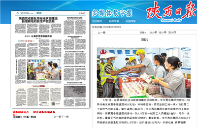 人生就是博·尊龙z6西北集团珑樾府项目高温慰问——《陕西日报》
